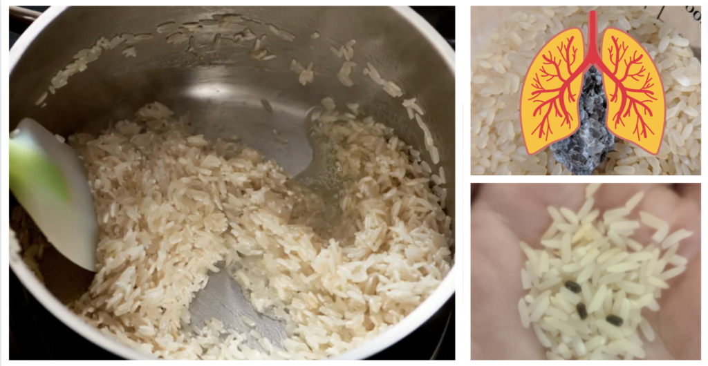 exotic rice method
