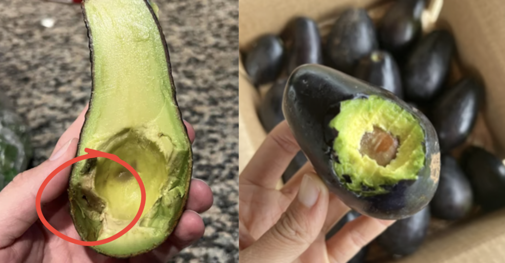 how to pick a good avocado