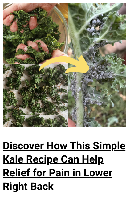 kale recipe