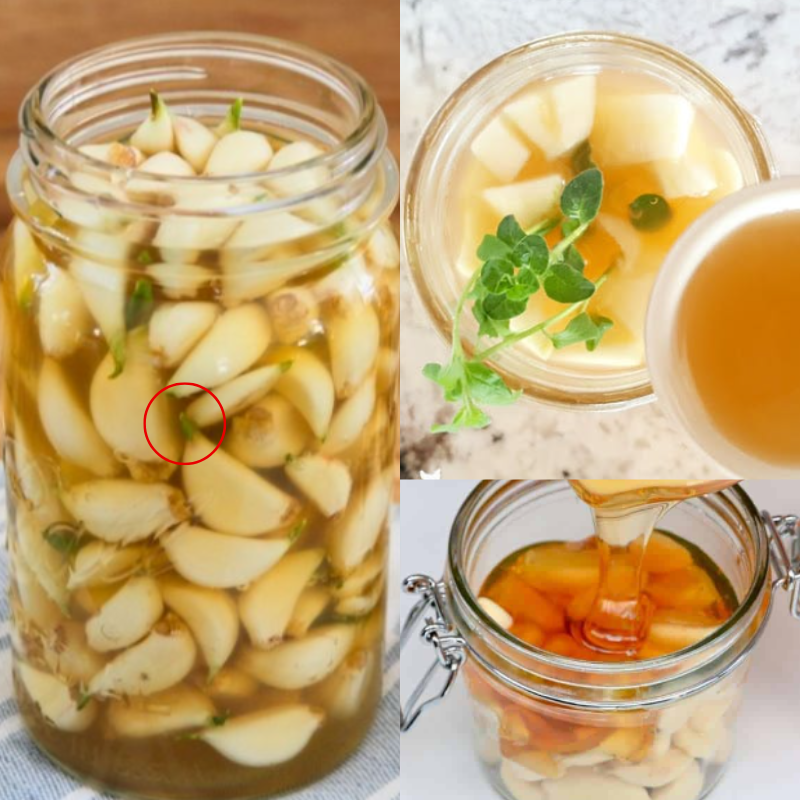 garlic and apple