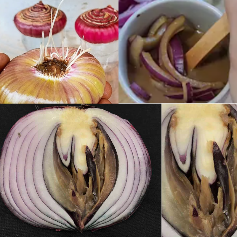 Onion Health Benefits