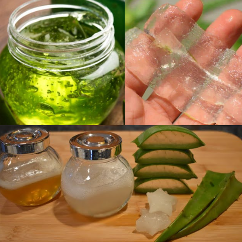 aloe vera uses