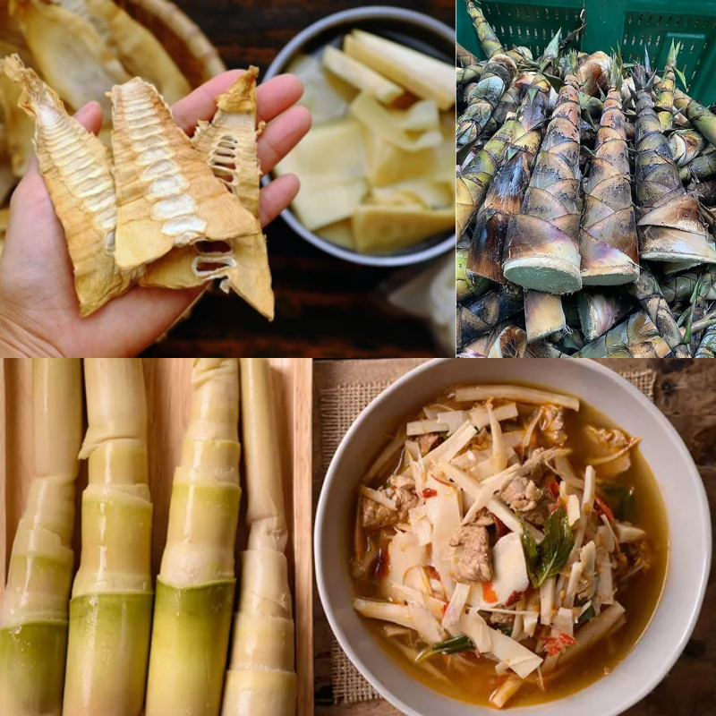 bamboo shoots health benefits