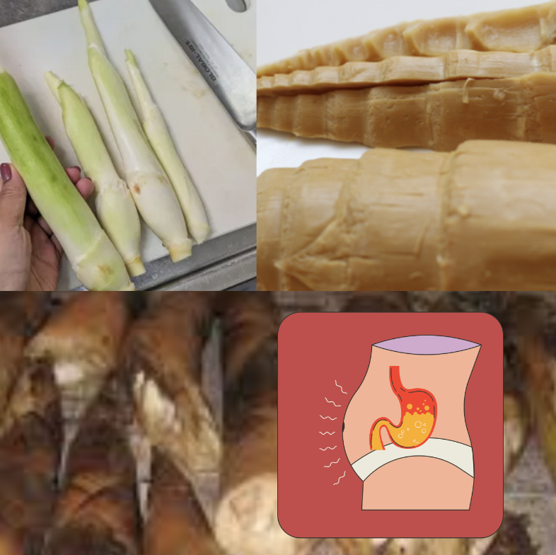 bamboo shoots benefits