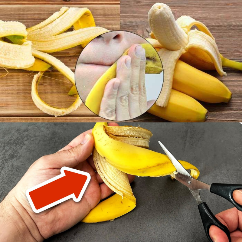 banana peels