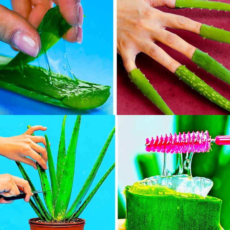 benefits of aloe vera on skin