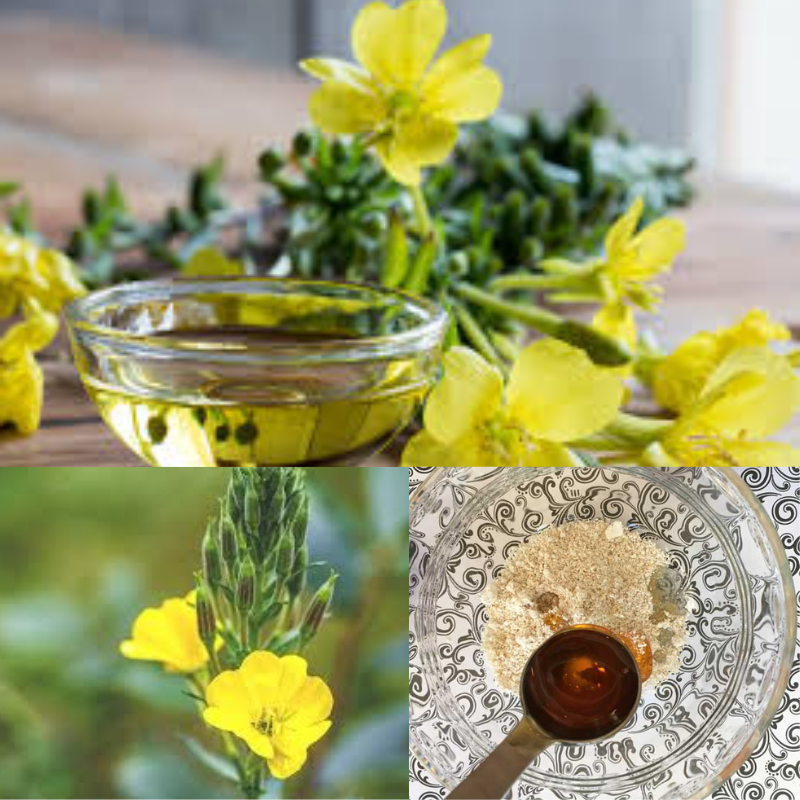 benefits of evening primrose oil