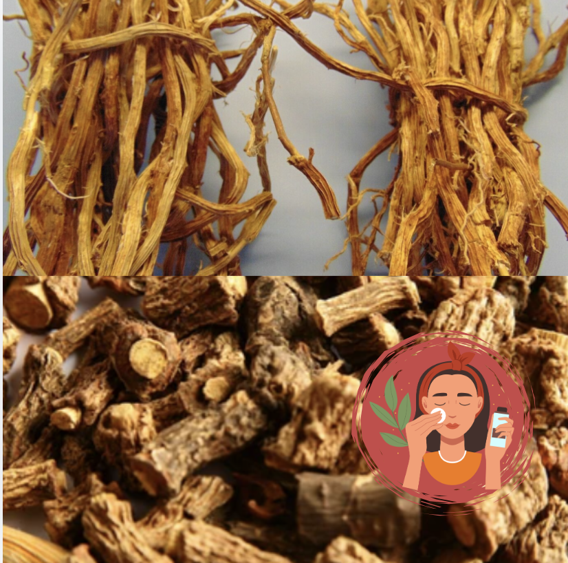 sarsaparilla root benefits