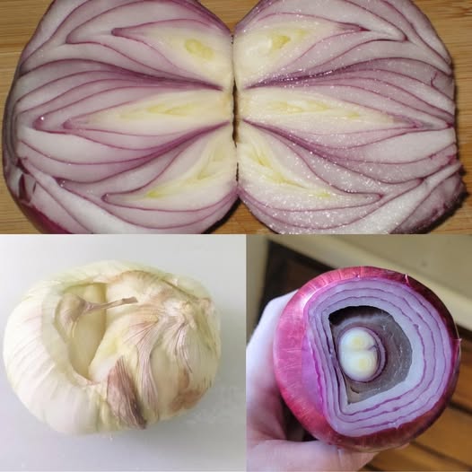 onion for high blood pressure