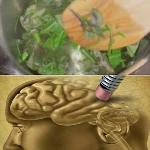 natural remedy for memory loss