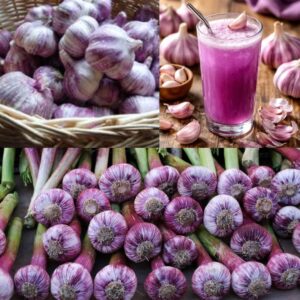 how-sciatica-and-obesity-connected-kitchen-habits